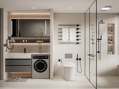 Modern Bathroom Interior Design With Washing Machine Toilet Glass Shower Vanity And Mirror 3d model
