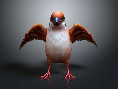 Orange and White Bird with Spread Wings Standing on Black Background 3d model