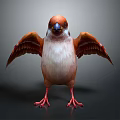 Orange and White Bird with Spread Wings Standing on Black Background 3d model