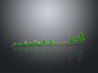 Green Plants in Different Growth Stages with Yellow Flowers on Gray Background and Reflections 3d model