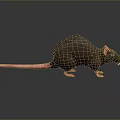 3D Model of Brown Rat With Pink Tail Ears Paws on Dark Background With Reflection