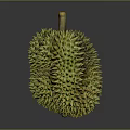 Fresh Ripe Durian Fruit With Shiny Green Spiky Shell And Yellow Stem