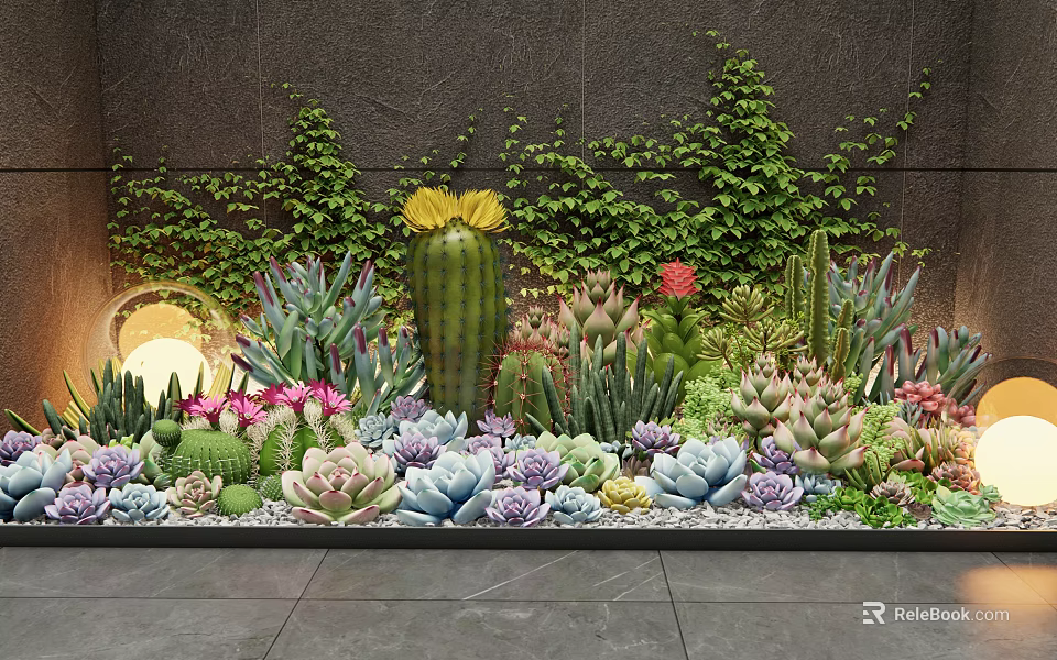 Beautiful Succulent Plants Garden with Cactus Colorful Varieties and Green Vines 3d model 