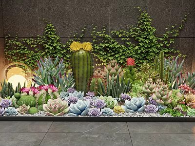 Beautiful Succulent Plants Garden with Cactus Colorful Varieties and Green Vines 3d model