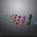 Colorful Various Types Of Plants Featuring Flowers And Green Leaves