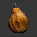 Organic Fresh Ripe Orange Pumpkin with Textured Skin and Green Stem