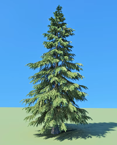 Tall Green Arbor Standing Against Clear Blue Sky With Lush Foliage And Green Ground 3d model