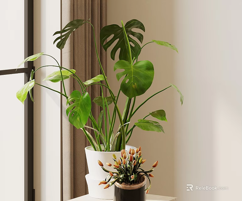Monstera Potted Plant with Large Green Leaves in White Pot and Small Plant on Indoor Stand 3d model 