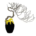 Floral Art Installation With Black Woven Vase Curved Bare Branches And Yellow Accents