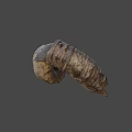 Unique Ancient Spiral Seashell Fossil With Detailed Texture On Dark Background