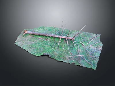 Wood And Stone Natural Craft With Green Leaf Shape And Small Twigs Design 3d model