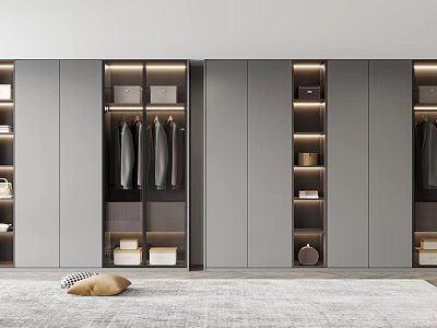 Modern Wardrobe Interior Design With Gray Doors Hanging Garments And LED Lighting 3d model