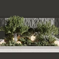 Contemporary Landscape Feature Wall With Lush Green Plants Soft Lighting And Natural Stone Finish