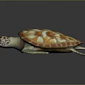 Reptile Sea Turtle With Orange And White Patterned Shell And Green Flippers 3d model