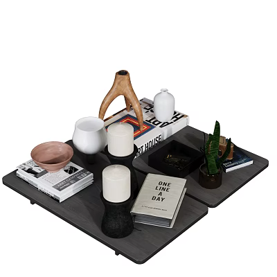 Modern Decorative Ornament Set with Wooden Ornament Candles Books Vase and Cactus on Tray 3d model