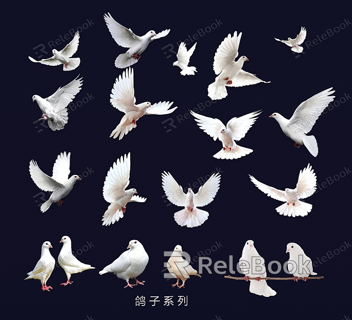 birds dove peace dove white pigeon carrier pigeon flying pigeon model