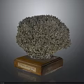 Intricate Coral Polyps Structure Displayed On Wooden Base With Informative Label