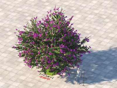 Beautiful Ornamental Arbor with Purple Flowers and Lush Green Leaves on Paved Square Ground 3d model