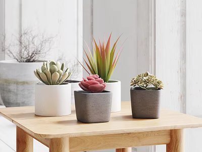 Bonsai Potted Plants On Wooden Table Featuring Succulents Green Plants In White Gray Pots 3d model