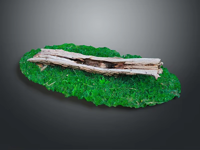 Weathered Wood with Natural Texture Cracks on Green Moss Covered Oval Base 3d model