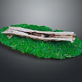 Weathered Wood with Natural Texture Cracks on Green Moss Covered Oval Base