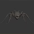Detailed Metallic Silver Ant Model Displayed On Dark Background With Reflection