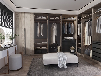 Light Luxury Home Decoration Cloakroom 3d model