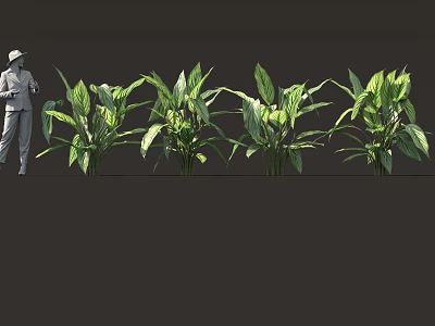Multiple Green Leaf Plants Arranged With Human Model For Decorative 3d model