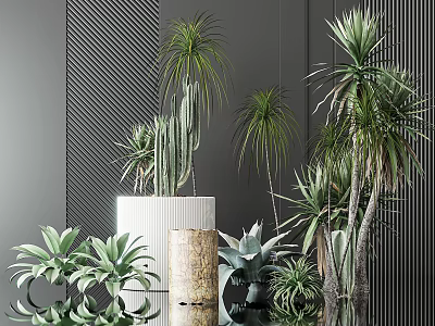 Stylish Garden Accents Featuring Cacti Palm Plants And Succulents In Various Planters 3d model
