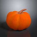 Fresh Ripe Orange Pumpkin With Brown Stem On Dark Reflective Surface
