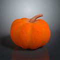 Pumpkin Pumpkin Cartoon Pumpkin Anime Pumpkin Style Pumpkin Fantasy Style Pumpkin Vegetable 3d model