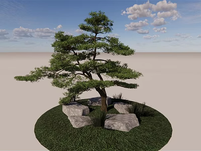 Pine Arbor With Green Grass And Stones Under Blue Sky White Clouds 3d model