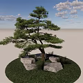 Pine Arbor With Green Grass And Stones Under Blue Sky White Clouds