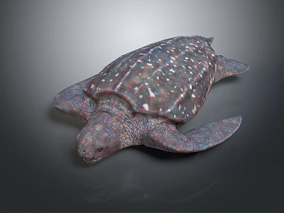 Spotted Marine Turtle With Textured Shell And Flippers On Dark Background 3d model