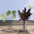 Modern Interior Decor With Glass Vases Holding Palm Leaves And Feathery Plants On Wooden Table