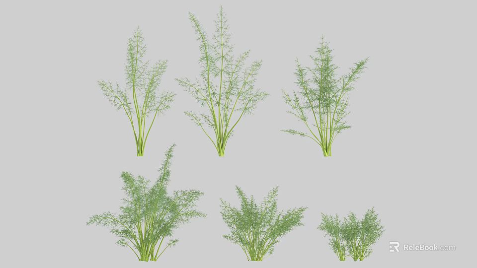 Fresh Green Vegetable Herbs Various Types Showing Lush Foliage Growth 3d model