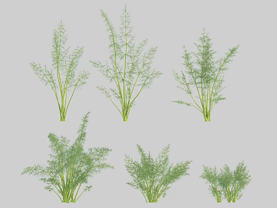 Modern Vegetables 3d model