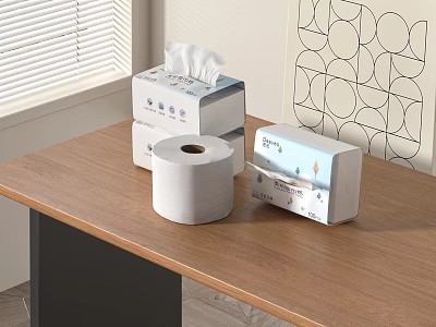Household Tissue Boxes And Toilet Paper Roll On Wooden Table With Window And Geometric Wall 3d model