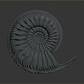 Chi chrysanthemum stone ancient fossil stone chrysanthemum fossil items 3d model