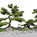 Japanese Garden Courtyard With Pine Trees Stone Lantern And Rock Path 3d model