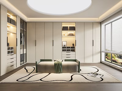 Modern Walk In Closet Interior With Built In Wardrobes Bench And Rug 3d model