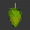 Green Hop Plant With Layered Leaves And Top Stem On Gray Background With Reflection
