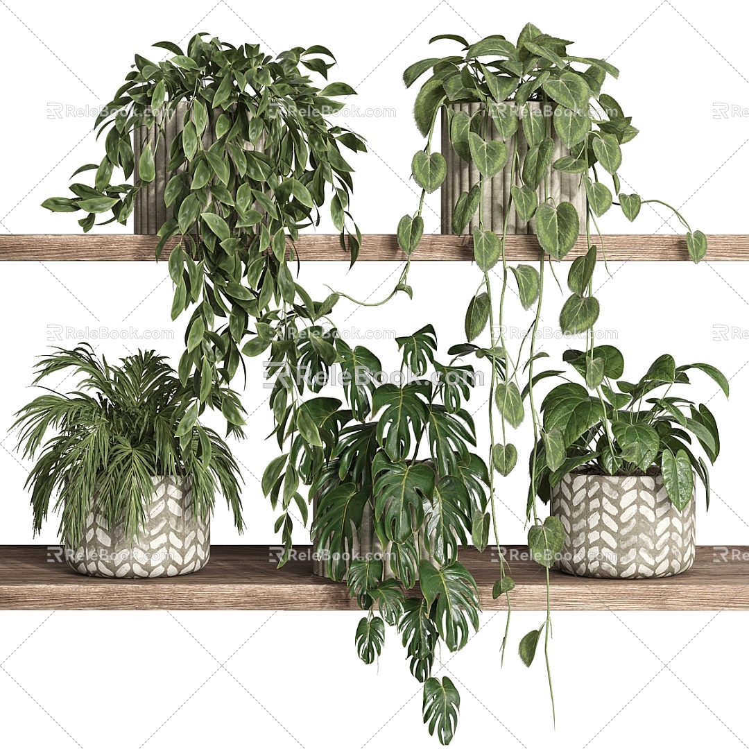 Plant Potted Plant Green Plant Bonsai Bonsai Partition Hanging Basket Landscape 3d model