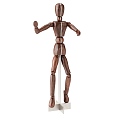 Human body diagram 3d model