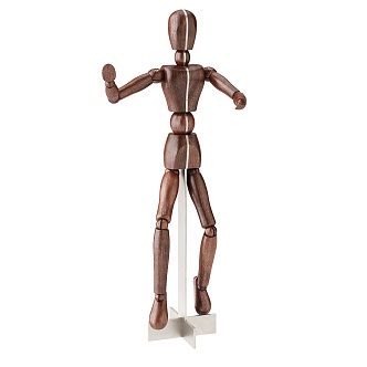 Human body diagram 3d model