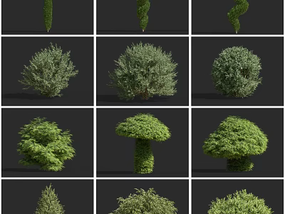 Modern Tree East China Sabina cedar dragon cypress weeping branch cedar cypress weeping branch cedar cypress stone cypress saginella cypress tree cypress thousand head cypress 3d model