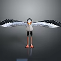 Black and White Bird with Spread Wings Orange Beak and Feet Standing on Gray Background