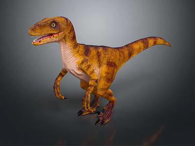 Realistic Velociraptor Dinosaur 3D Model Standing With Brown Yellow Stripes And Sharp Teeth 3d model