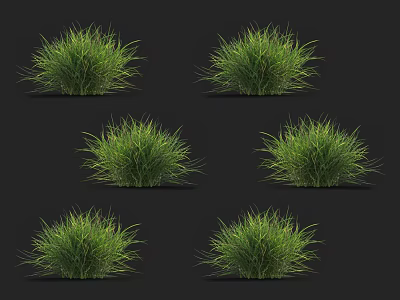 Green Lush Grass Clumps Isolated On Black Background For Natural Landscaping 3d model