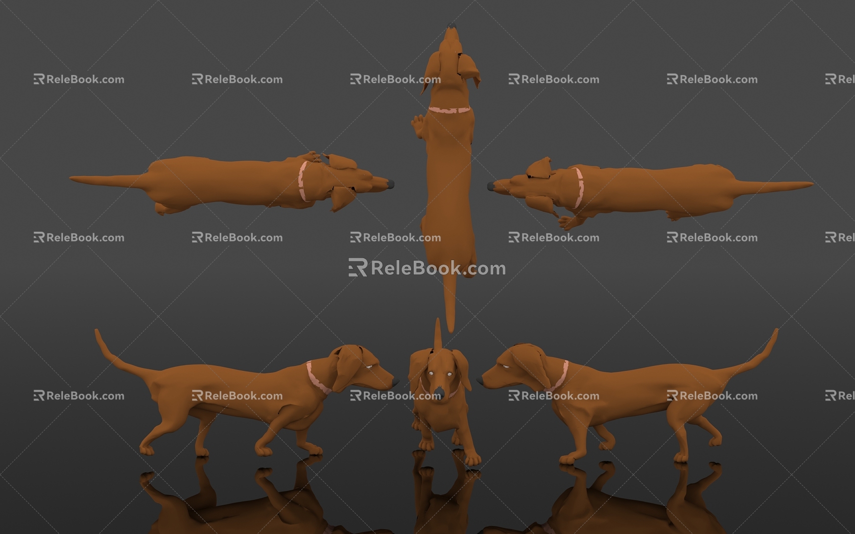 Dog Dog Pastoral Dog Puppy Reptile Terrestrial Biological Specimen Exhibition Popular Science Education Museum Zoo Animal Biology 3d model